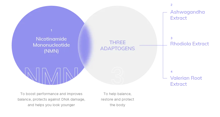 4 main ingredients